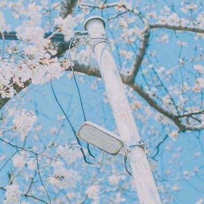妖怪手帐图鉴简约版下载