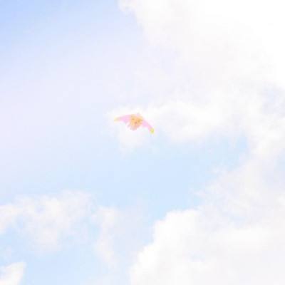 海洋奏歌变态版下载